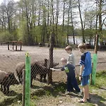 Bory Tucholskie Domek letniskowy Skorzenno