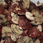 Bory Tucholskie Domek letniskowy Skorzenno