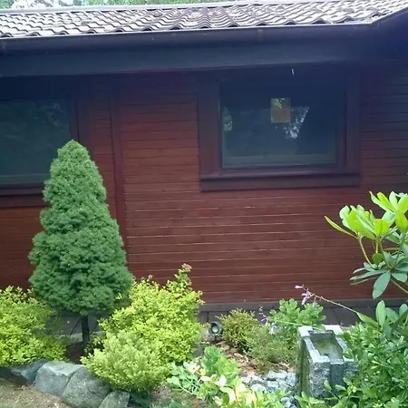 Bory Tucholskie * Skorzenno