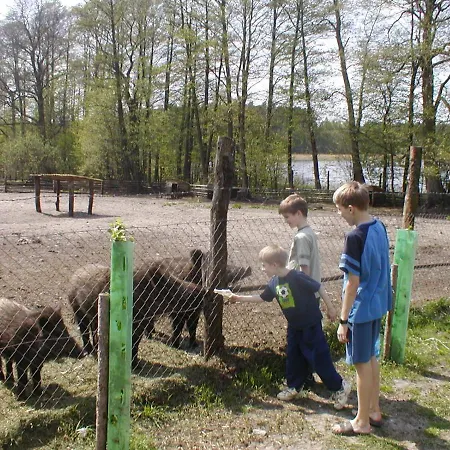 Bory Tucholskie ロッジ Skorzenno