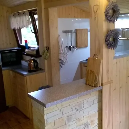 Bory Tucholskie 山林小屋 *