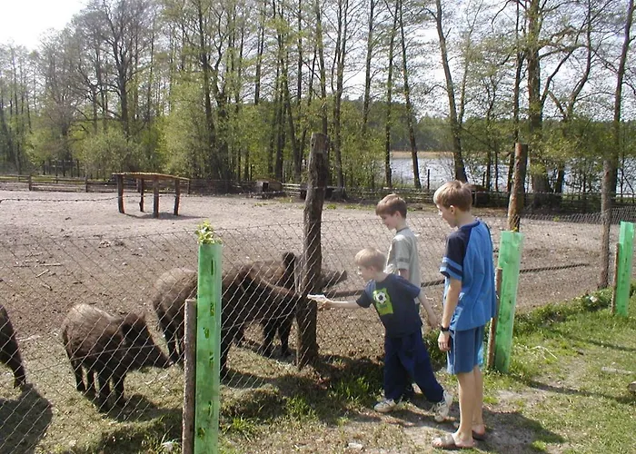 Bory Tucholskie Domek letniskowy Skorzenno